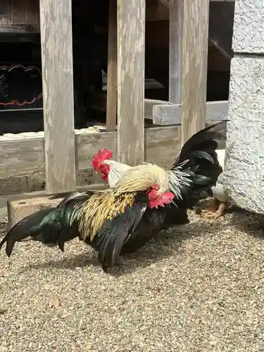 大崎八幡宮(宮城県)