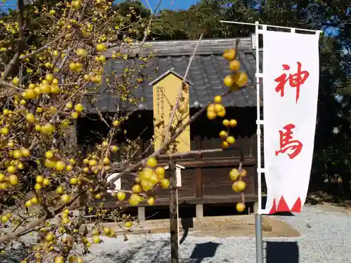 板倉雷電神社(群馬県)
