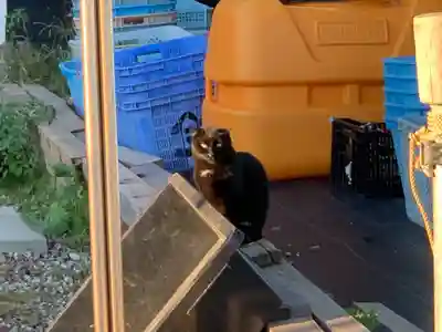 稲荷神社の動物