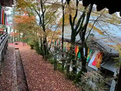 禅林寺(永観堂)(京都府)