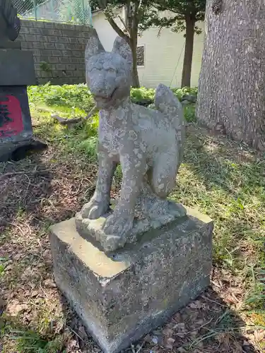 川汲稲荷神社の狛犬