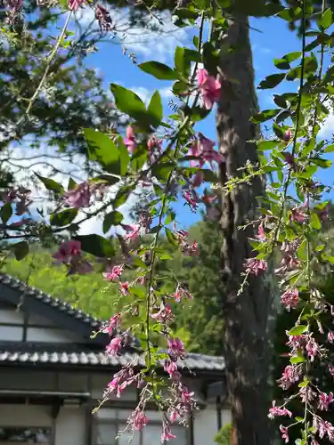 常光寺(長野県)