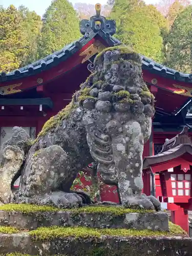 箱根神社の狛犬