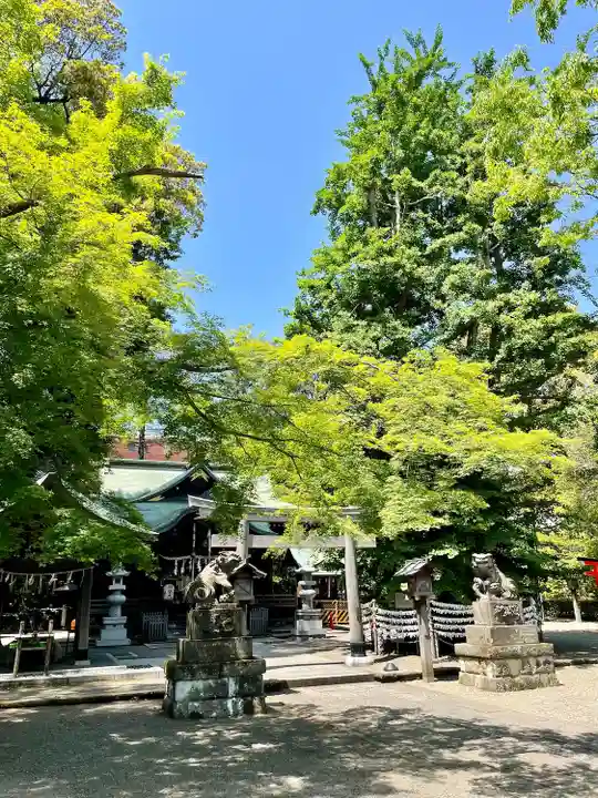 杵築大社(東京都)