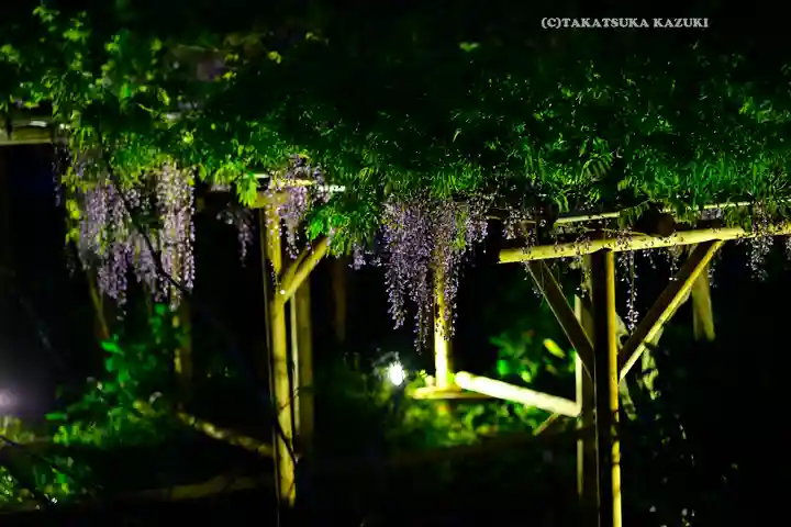 亀戸天神社(東京都)