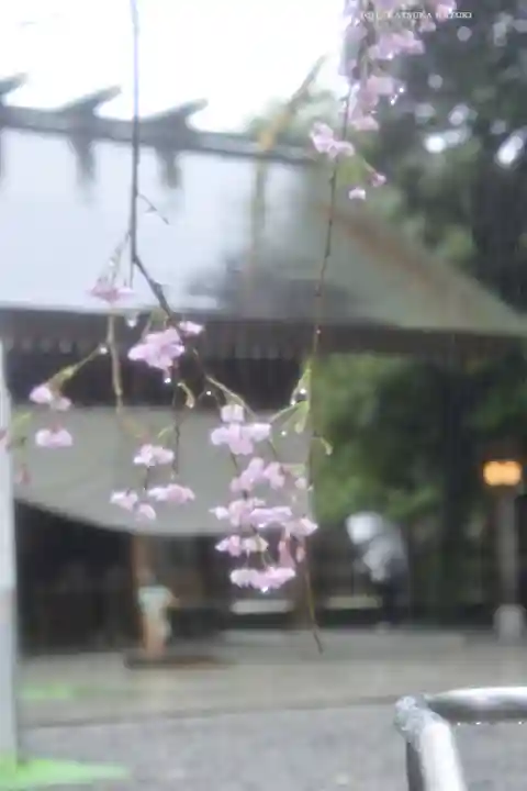 阿佐ヶ谷神明宮(東京都)