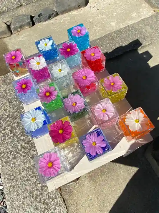 般若寺 ❁コスモス寺❁(奈良県)