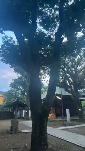 竹下稲荷神社(東京都)