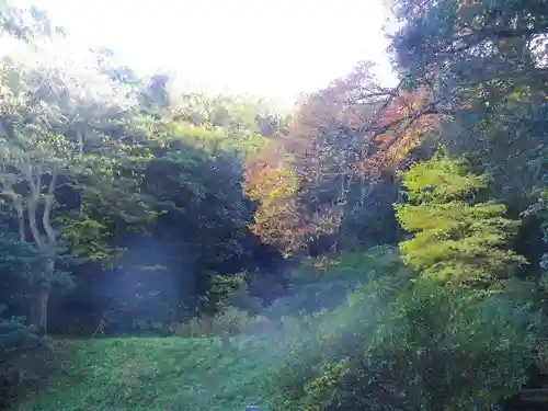 安國論寺（安国論寺）の景色