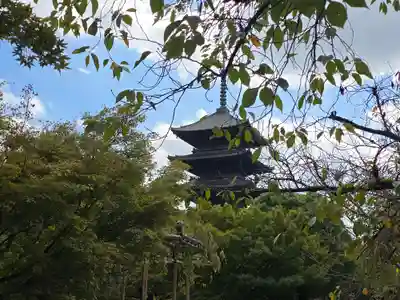 東寺（教王護国寺）(京都府)