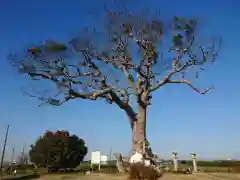 大木神社(三重県)