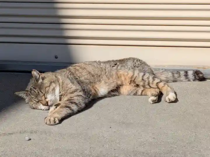 白金氷川神社(東京都)