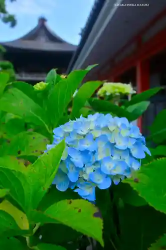高幡不動尊　金剛寺(東京都)