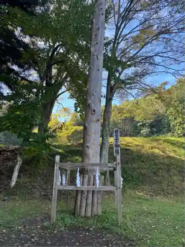 諏訪大社上社前宮(長野県)