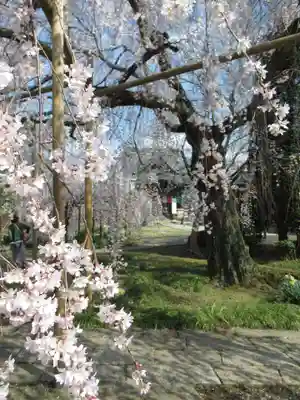 慶龍寺(茨城県)