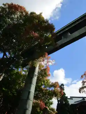 玉蔵院(奈良県)