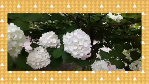 冠稲荷神社(群馬県)