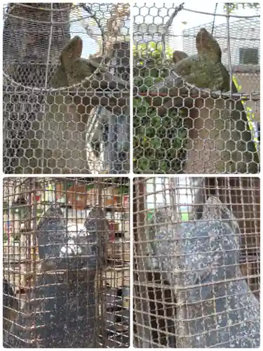 野田恵美須神社の狛犬