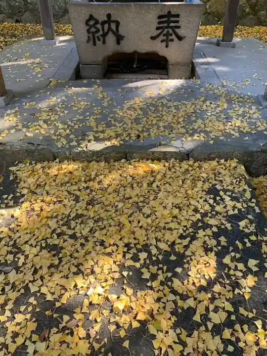 春日神社の手水舎