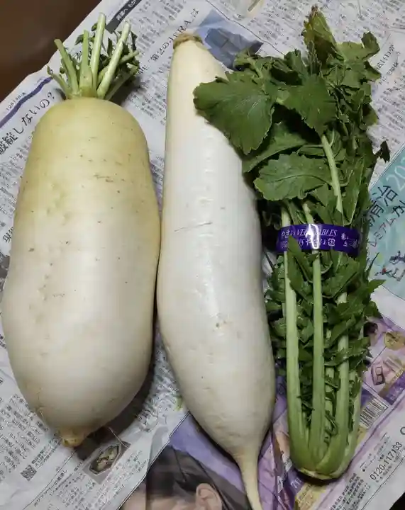 海南神社(神奈川県)