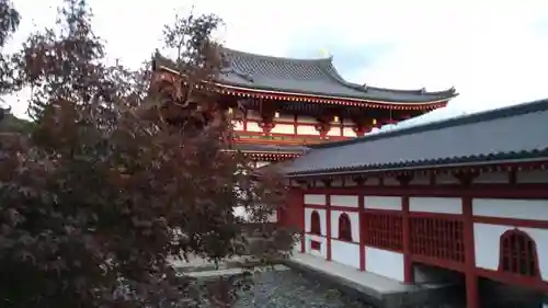 平等院の本殿・本堂