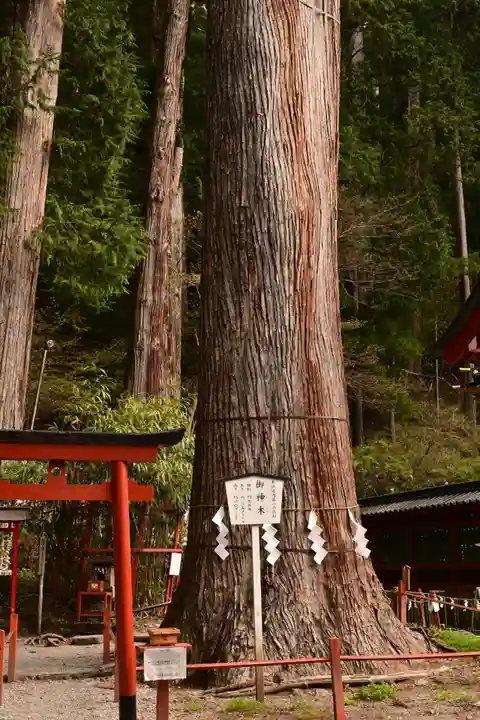 日光二荒山神社(栃木県)