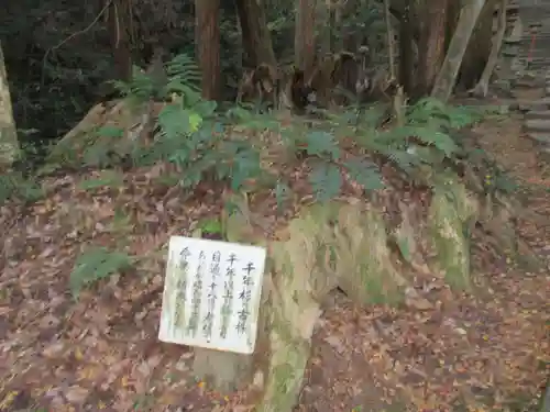 西山興隆寺(愛媛県)