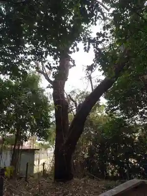 稲荷神社のその他建物