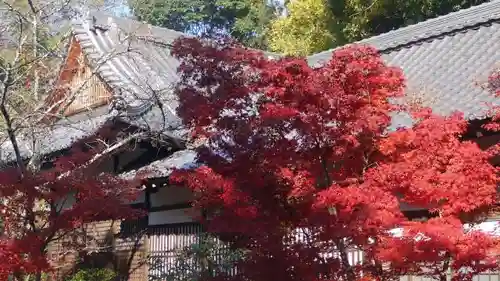 光明寺（粟生光明寺）の本殿