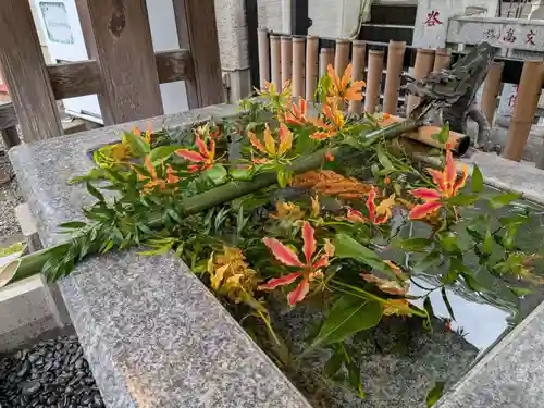 高円寺氷川神社(東京都)