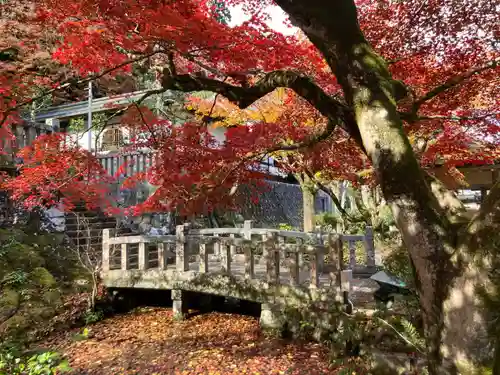 最乗寺（道了尊）(神奈川県)