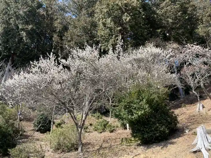 石山寺(滋賀県)