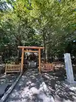 北海道神宮の鳥居