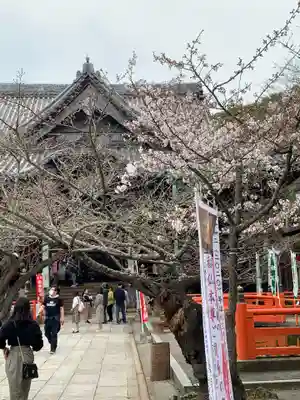 金剛宝寺（紀三井寺）のその他建物
