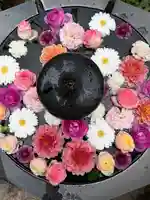 神楽坂安養寺(東京都)