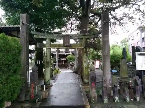 諏訪神社の鳥居