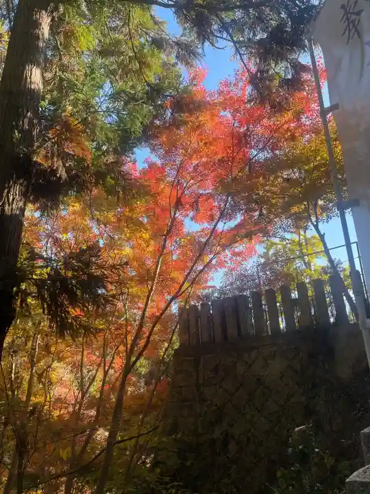 松尾寺(奈良県)