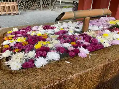 鶴岡八幡宮の手水舎