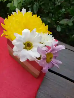 増上寺塔頭 三縁山 宝珠院の手水舎