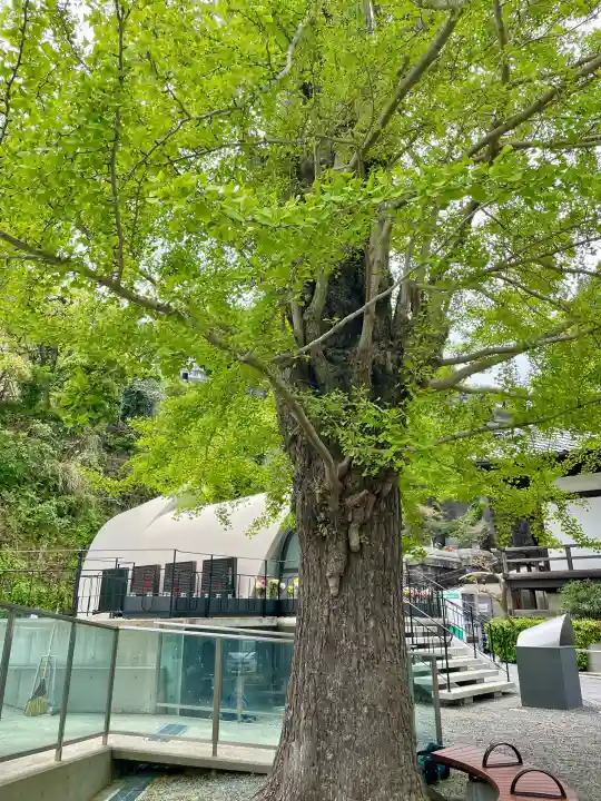 浄土寺の{uncategorized: "未分類", other: "その他", undefined: "問題あり", building: "その他建物", grave: "お墓", sacred_gate: "鳥居", guardian: "狛犬", statue: "像", buddha: "仏像", history: "歴史", nature: "自然", garden: "庭園", animal: "動物", pagoda: "塔", temizu: "手水舎", mountain_gate: "山門・神門", sanctuary: "本殿・本堂", subordinate: "末社・摂社", art: "芸術", scenery: "景色", jizo: "地蔵", ema: "絵馬", goshuin: "御朱印", omikuji: "おみくじ", items: "授与品その他", amulet: "お守り", goshuincho: "御朱印帳", eats: "食事", festival: "お祭り", votive_dance: "神楽", shichigosan: "七五三参", wedding: "結婚式", experience: "体験その他", initially: "初詣", around: "周辺", anti_infection: "感染症対策"}