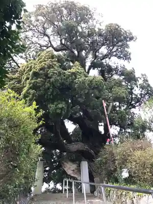 城願寺のその他建物