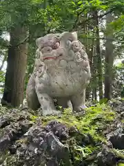 富士山東口本宮 冨士浅間神社の狛犬