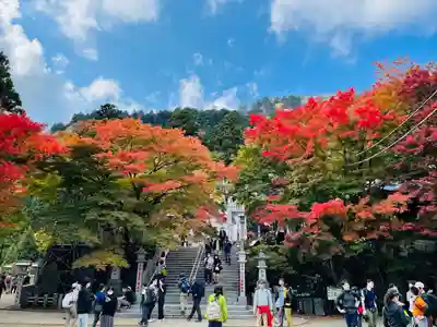 大山阿夫利神社(神奈川県)
