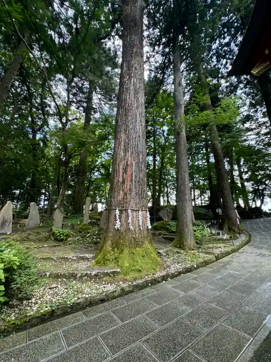 富士山東口本宮 冨士浅間神社(静岡県)