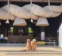 常陸国出雲大社の動物