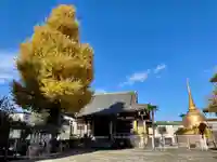 福王山 慈眼寺の本殿・本堂