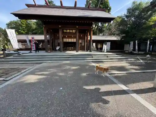 射水神社の{uncategorized: "未分類", other: "その他", undefined: "問題あり", building: "その他建物", grave: "お墓", sacred_gate: "鳥居", guardian: "狛犬", statue: "像", buddha: "仏像", history: "歴史", nature: "自然", garden: "庭園", animal: "動物", pagoda: "塔", temizu: "手水舎", mountain_gate: "山門・神門", sanctuary: "本殿・本堂", subordinate: "末社・摂社", art: "芸術", scenery: "景色", jizo: "地蔵", ema: "絵馬", goshuin: "御朱印", omikuji: "おみくじ", items: "授与品その他", amulet: "お守り", goshuincho: "御朱印帳", eats: "食事", festival: "お祭り", votive_dance: "神楽", shichigosan: "七五三参", wedding: "結婚式", experience: "体験その他", initially: "初詣", around: "周辺", anti_infection: "感染症対策"}