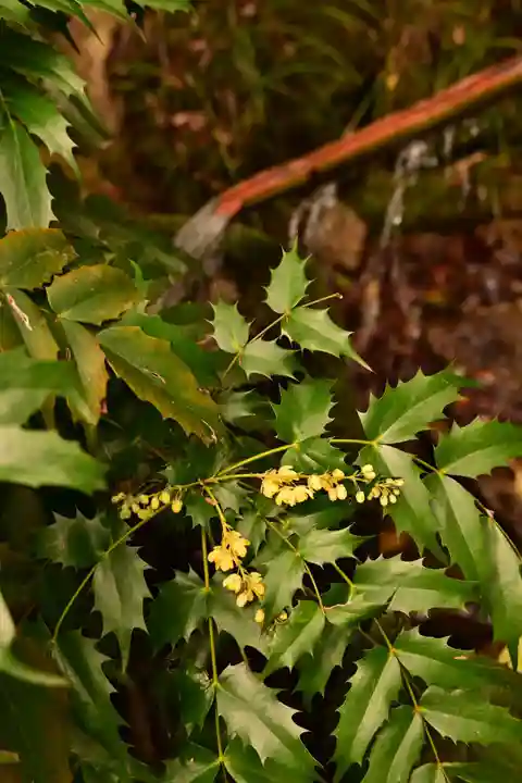 三瀧寺(広島県)