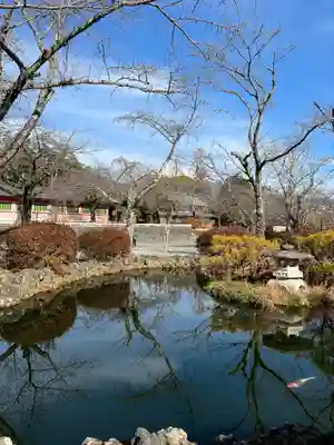 富士山本宮浅間大社(静岡県)