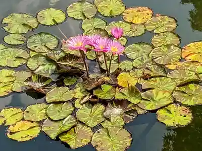 禅林寺(永観堂)(京都府)